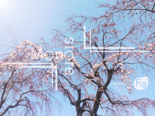 青い空と桜の写真