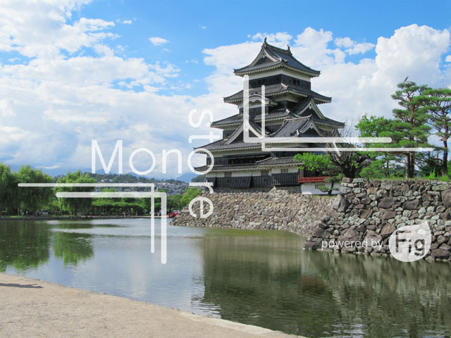 Photograph of the Matsumoto Castle and moat
