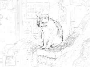20004 colorsheet Taiwan cat coloring pages