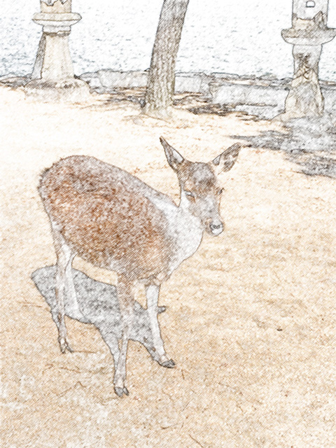 coloring pages 20007 finished image of the deer that inhabit the colorsheeテ Miyajima