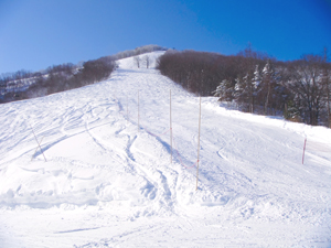 斑尾高原スキー場頂上部の写真