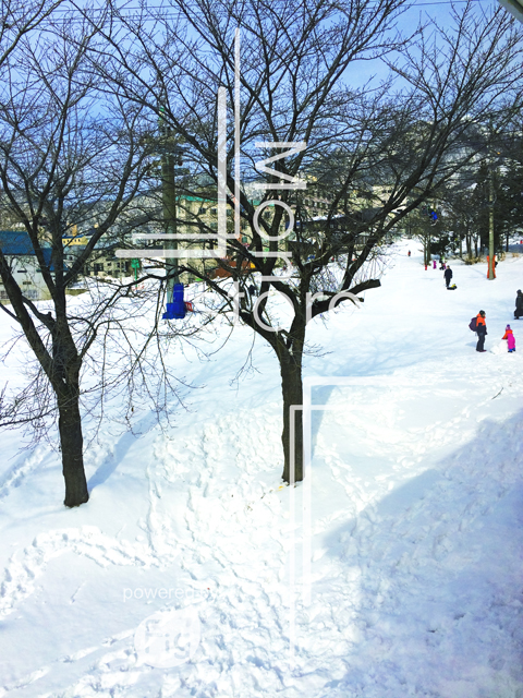 スキー場で遊ぶ子供と雪に残る足跡の写真