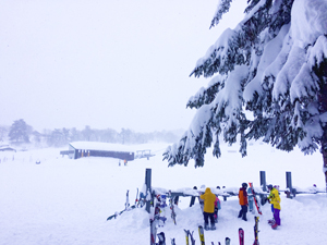 斑尾高原スキー場に降り続ける雪の写真