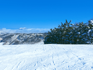 青空と圧雪された雪の写真